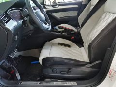 Volkswagen Magotan 2 Million Units Commemorative Edition 330TSI DSG Luxury - photo 14