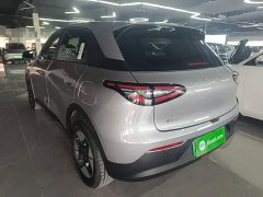 Geely Star Wish 310km Dream Edition - photo 4