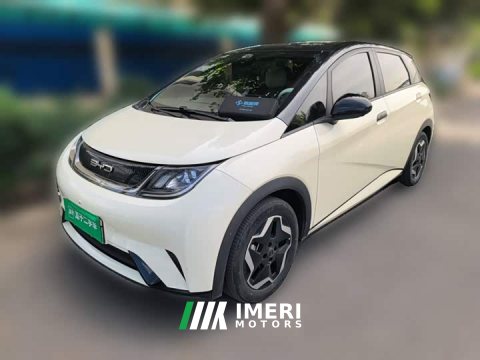 2023 BYD Dolphin 405km Freedom Edition - ავტომობილი ჩინეთიდან