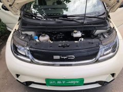 BYD Dolphin 405km Freedom Edition - photo 10