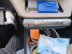 BYD Dolphin 405km Freedom Edition - photo 6