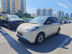 Wuling Binguo 333km Joy Edition - ფოტო 1