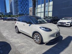 Wuling Binguo 333km Joy Edition - ფოტო 3