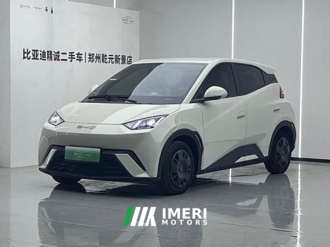2024 BYD Seagull Vitality Edition - car from China
