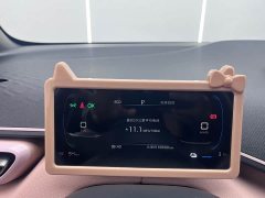 BYD Seagull Vitality Edition - ფოტო 11