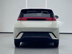 BYD Seagull Vitality Edition - ფოტო 4