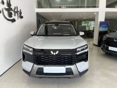 Wuling Starlight 560 New Energy Plug-in Hybrid 125km Luxury - photo 2
