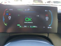 BYD Qin PLUS DM-i Smart Drive Edition 55KM Leading - фото 11