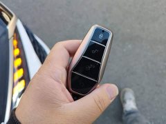 BYD Qin PLUS DM-i Smart Drive Edition 55KM Leading - фото 8