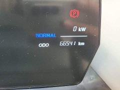 Chery Ant 321km Edition - ფოტო 13
