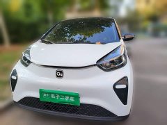 Chery Ant 321km Edition - ფოტო 2