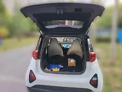 Chery Ant 321km Edition - ფოტო 20