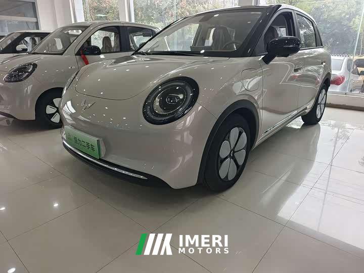 Wuling Bingguo Pro 330km Deluxe Edition