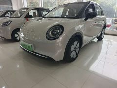 Wuling Bingguo Pro 330km Deluxe Edition - ფოტო 1
