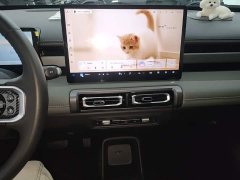 Baojun Yueye Plus 301km Flagship Edition - ფოტო 12