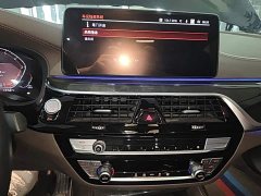 BMW 5 Series 525Li Luxury Package - ფოტო 12