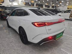 BYD Seal 06 DM-i Smart Drive Edition 80KM Luxury - photo 4