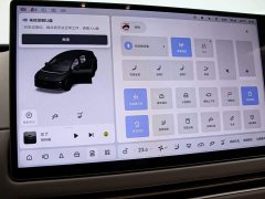 Li Auto i8 Standard Edition - ფოტო 9