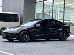 Tesla Model 3 Rear-Wheel Drive - фото 1