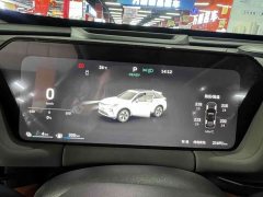 Haval Xiaolong MAX Hi4 165 Ultra Intelligent Driving Edition - photo 7