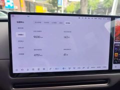 Li Auto i8 Standard Edition - ფოტო 9
