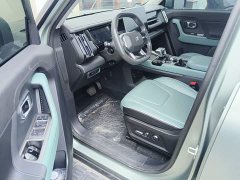 Jetour Jietu Liberator 2.0TD XWD Conquest - photo 15