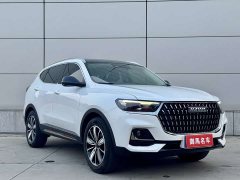Haval H6 National Trend Edition 1.5T Automatic Champion Version - ფოტო 3