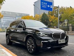 BMW X5 xDrive 30Li M Sport Package - фото 3
