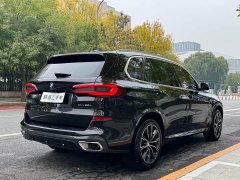 BMW X5 xDrive 30Li M Sport Package - фото 9