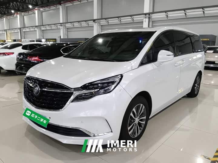 Buick GL8 ES Land Respect 653T Respect Enjoyment Edition - car from China