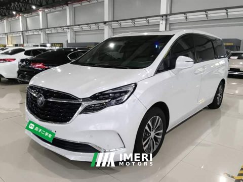 2021 Buick GL8 ES Land Respect 653T Respect Enjoyment Edition - ავტომობილი ჩინეთიდან