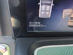 Wuling Hongguang MINIEV Macaron Premium Edition LFP - photo 4