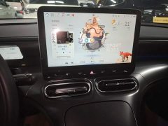 smart #1 Pro - ფოტო 12