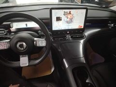 smart #1 Pro - ფოტო 9