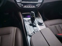BMW 5 Series Facelift 530Li Premier Luxury Package - фото 13