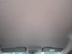 FAW Besturn NAT PRO Comfort Travel Edition 419km - фото 17