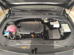 Geely Xingrui Dongfang Yao 1.5TD Fuyao Edition - ფოტო 19