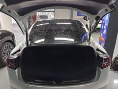 Tesla Model 3 Standard Range RWD Upgrade - photo 18