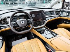 Denza D9 DM-i 980 Four-Wheel Drive Premium - фото 8