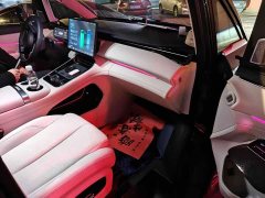 Geely Galaxy V900 1220 AWD Max - ფოტო 4