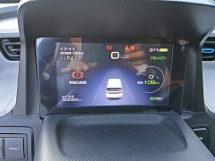 Wuling Hongguang MINIEV Zizai Edition LFP Battery - photo 11