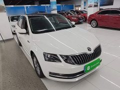 Skoda Octavia TSI230 DSGLuxury Edition - ფოტო 3