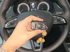 Skoda Octavia TSI230 DSGLuxury Edition - ფოტო 8