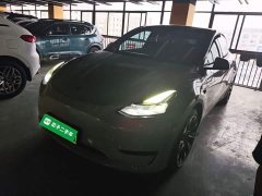 Tesla Model Y Standard Range RWD - ფოტო 1