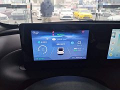 Wuling Binguo 203km Light Enjoy Edition - ფოტო 11