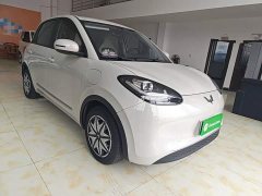 Wuling Binguo 203km Light Enjoy Edition - ფოტო 3