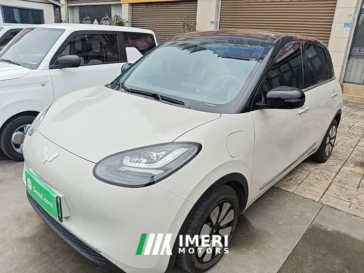 Wuling Binguo 333km Joy Edition