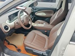 Wuling Binguo 333km Joy Edition - ფოტო 14