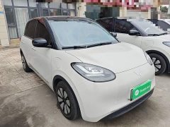 Wuling Binguo 333km Joy Edition - ფოტო 3