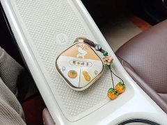 Wuling Binguo 333km Joy Edition - ფოტო 8